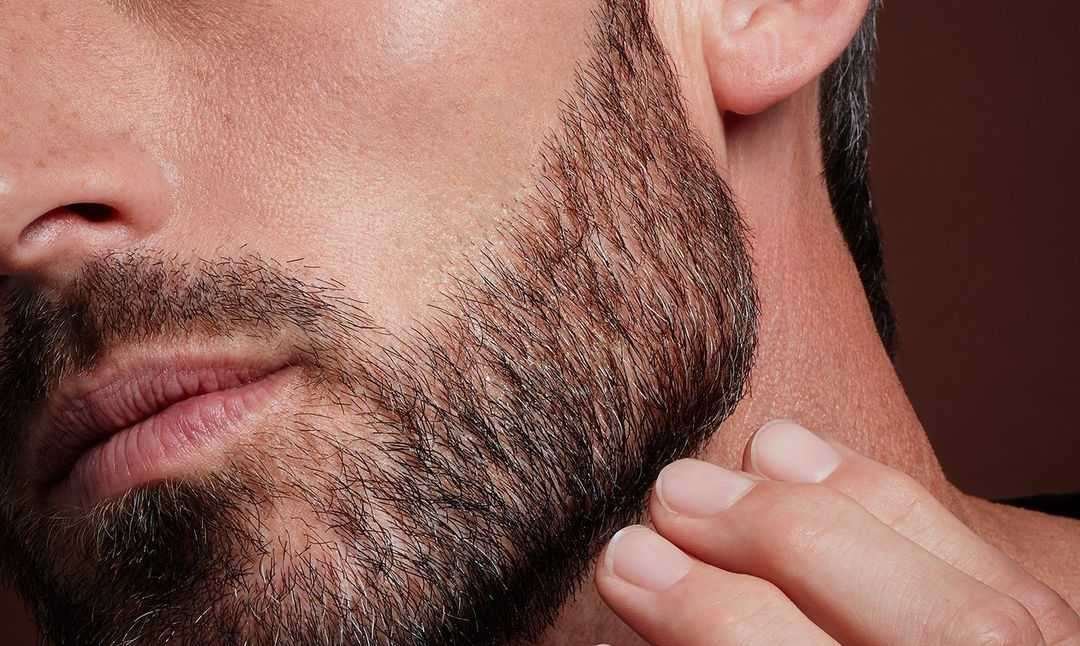 Barba